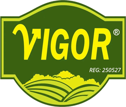 vigor.com.bd