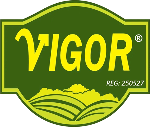 vigor.com.bd